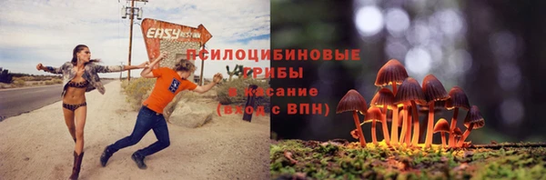 крисы Беломорск