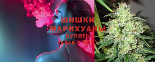 крисы Беломорск