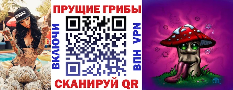 Купить где  Полесск  Псилоцибиновые грибы GOLDEN TEACHER 